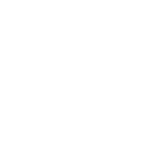 Tailored Tools and Support